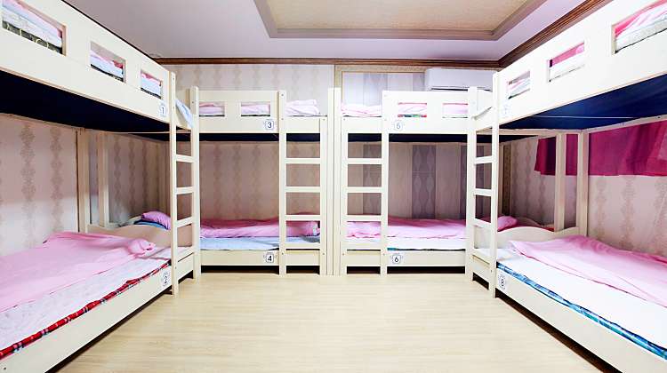 5인 여성 도미토리 (5 beds dorm Women) 대표사진