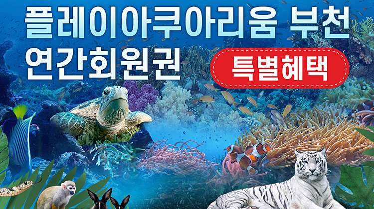 [5월]부천 아쿠아+동물원+파충류관+생태도슨트(연간권) 대표사진
