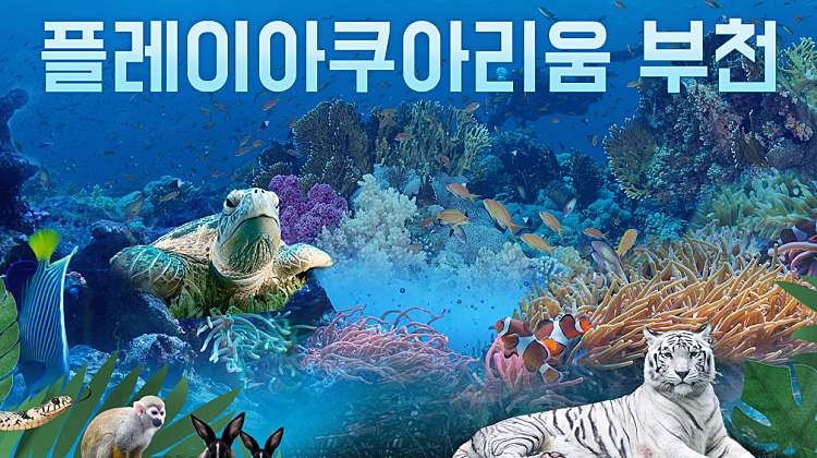 [5월] 부천 아쿠아리움+동물원+파충류관+생태 도슨트 대표사진
