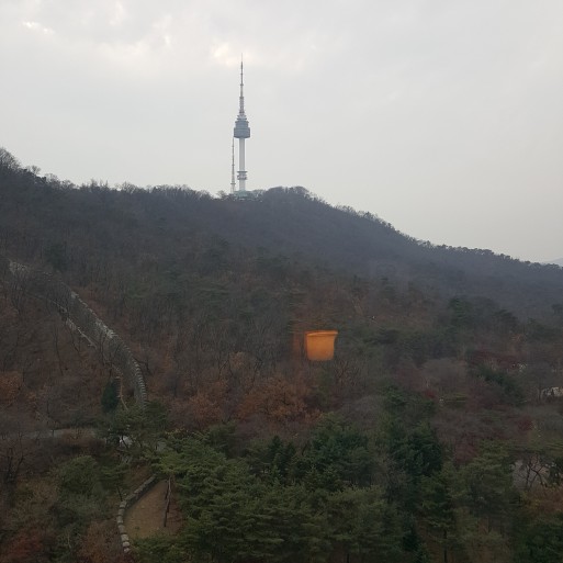 네이버 MY플레이스