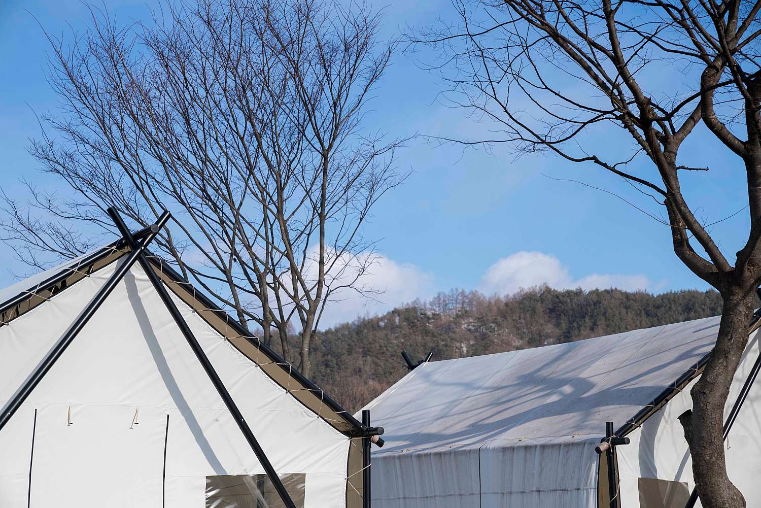 Fun Glamping! 숲속에서의 캠핑과 BBQ파티! 이미지