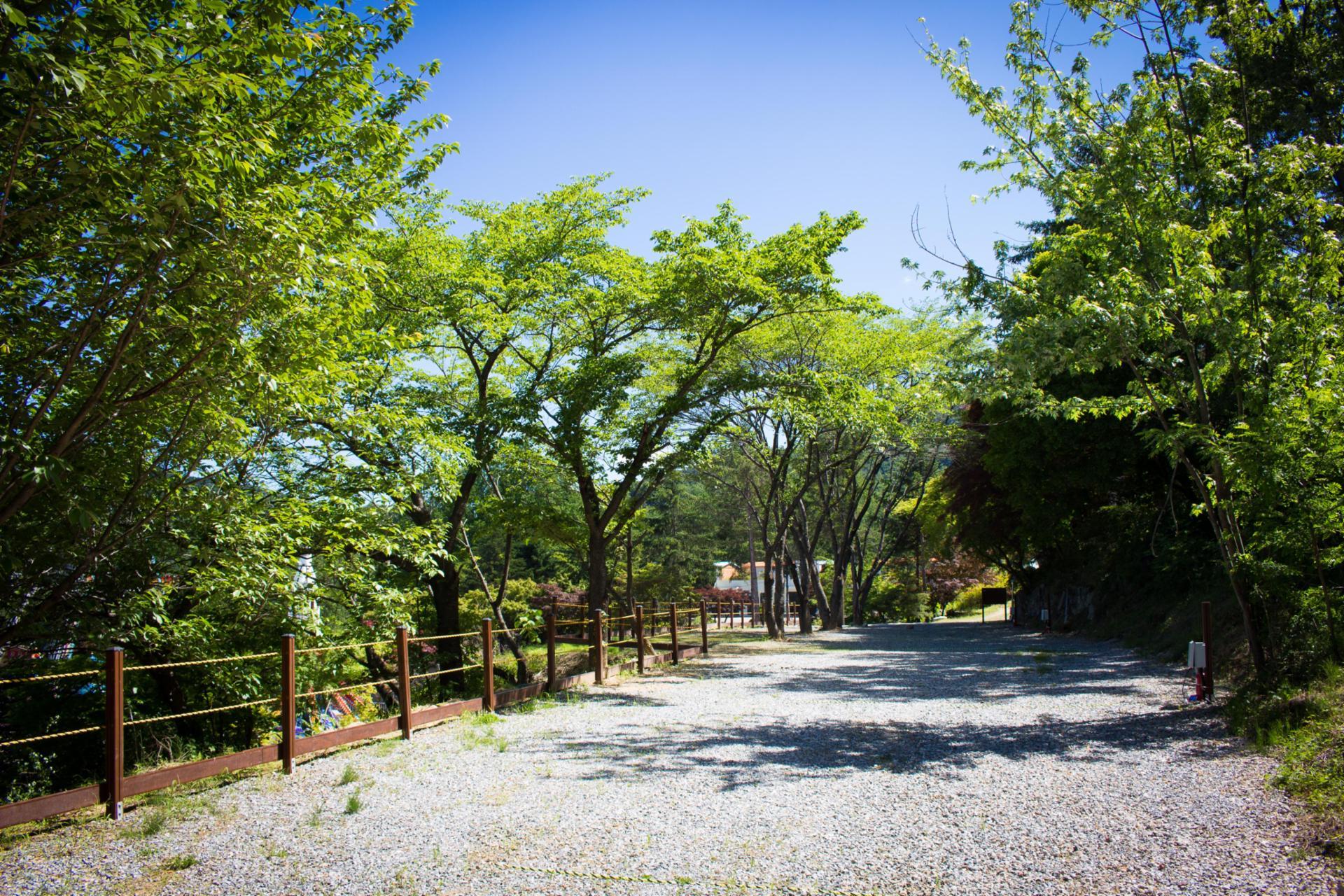 서대산드림캠핑파크&오토캠핑장