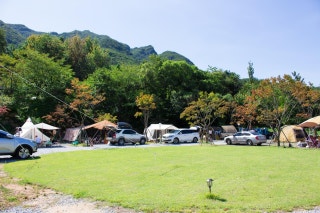 캠핑드림캠핑장