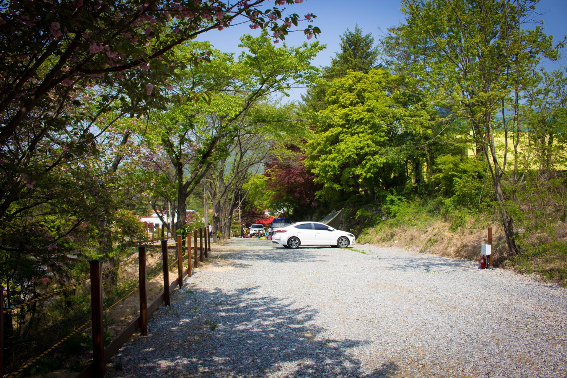 서대산드림캠핑파크&오토캠핑장