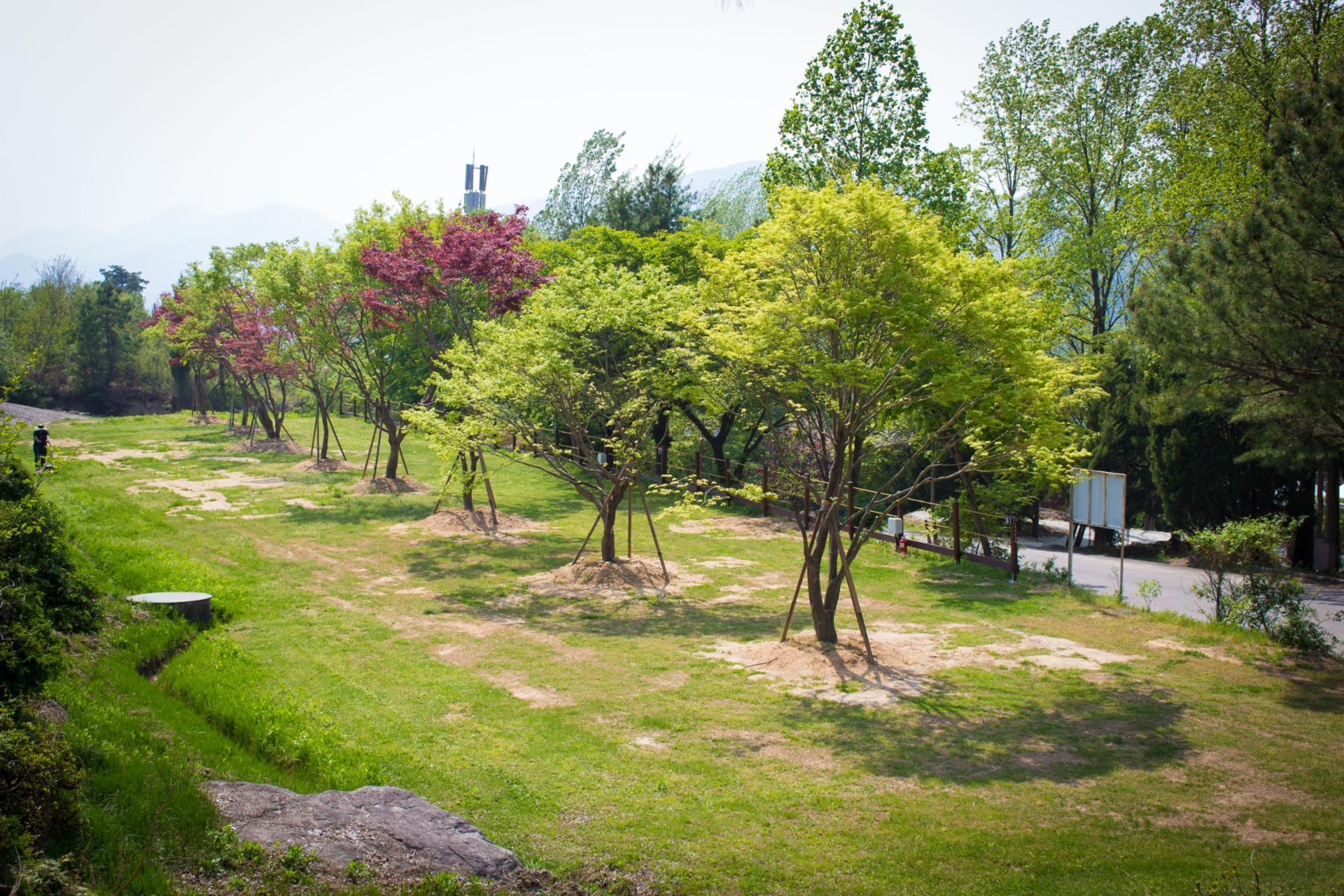 서대산드림캠핑파크&오토캠핑장