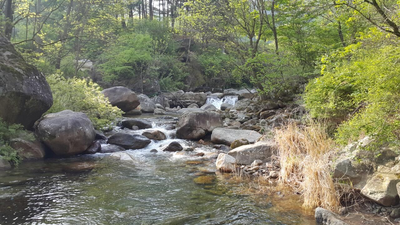 단양솔티천캠핑장