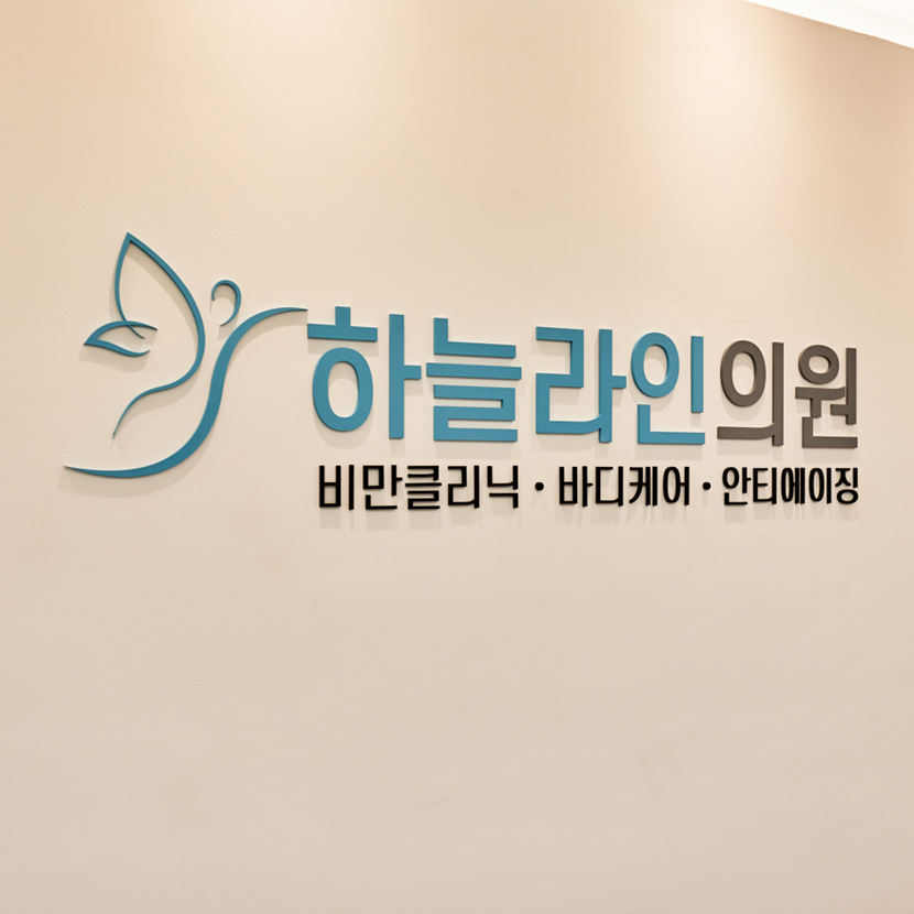 하늘라인의원