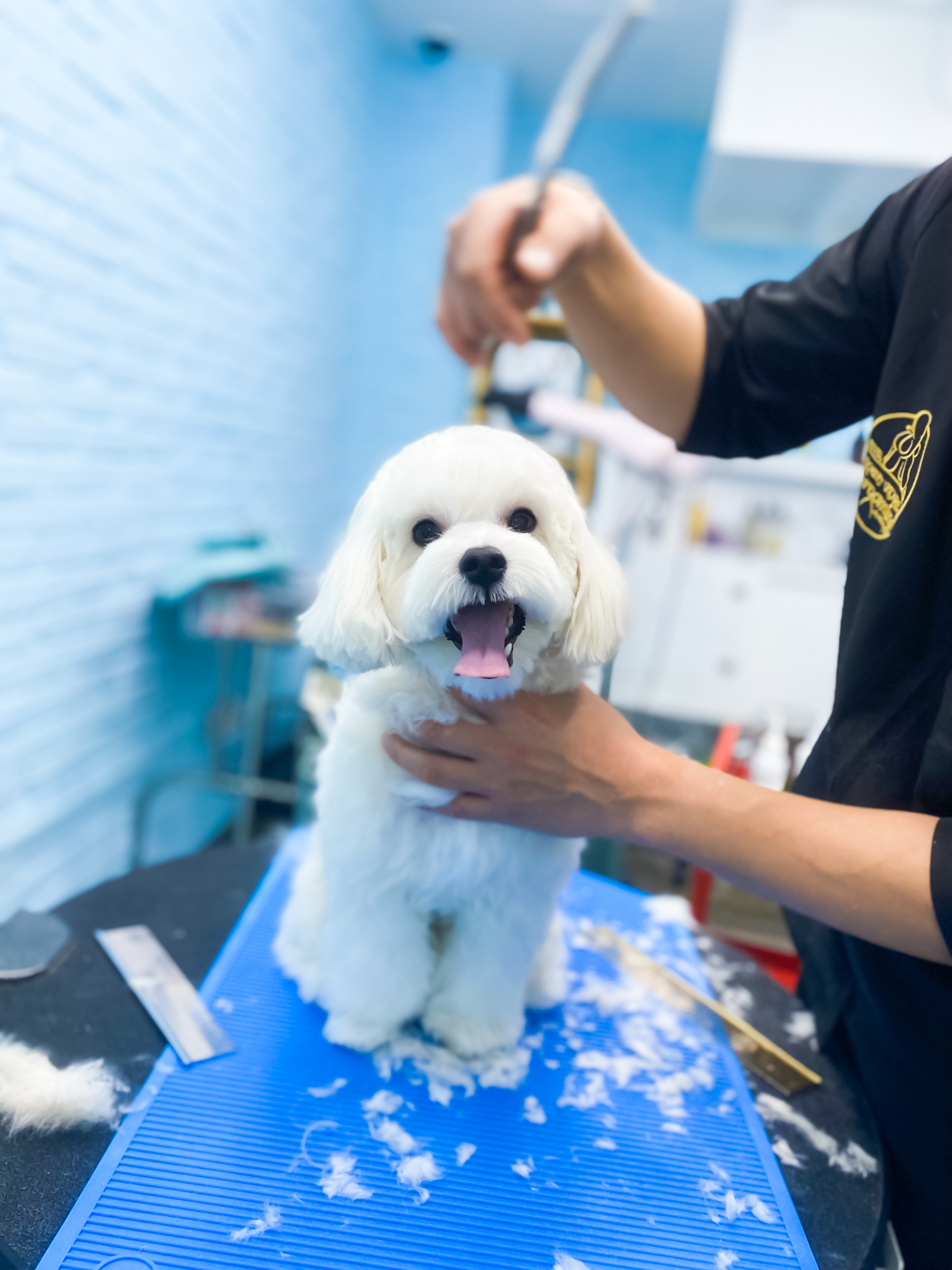 씨유펫 검단신도시점 대표 이미지