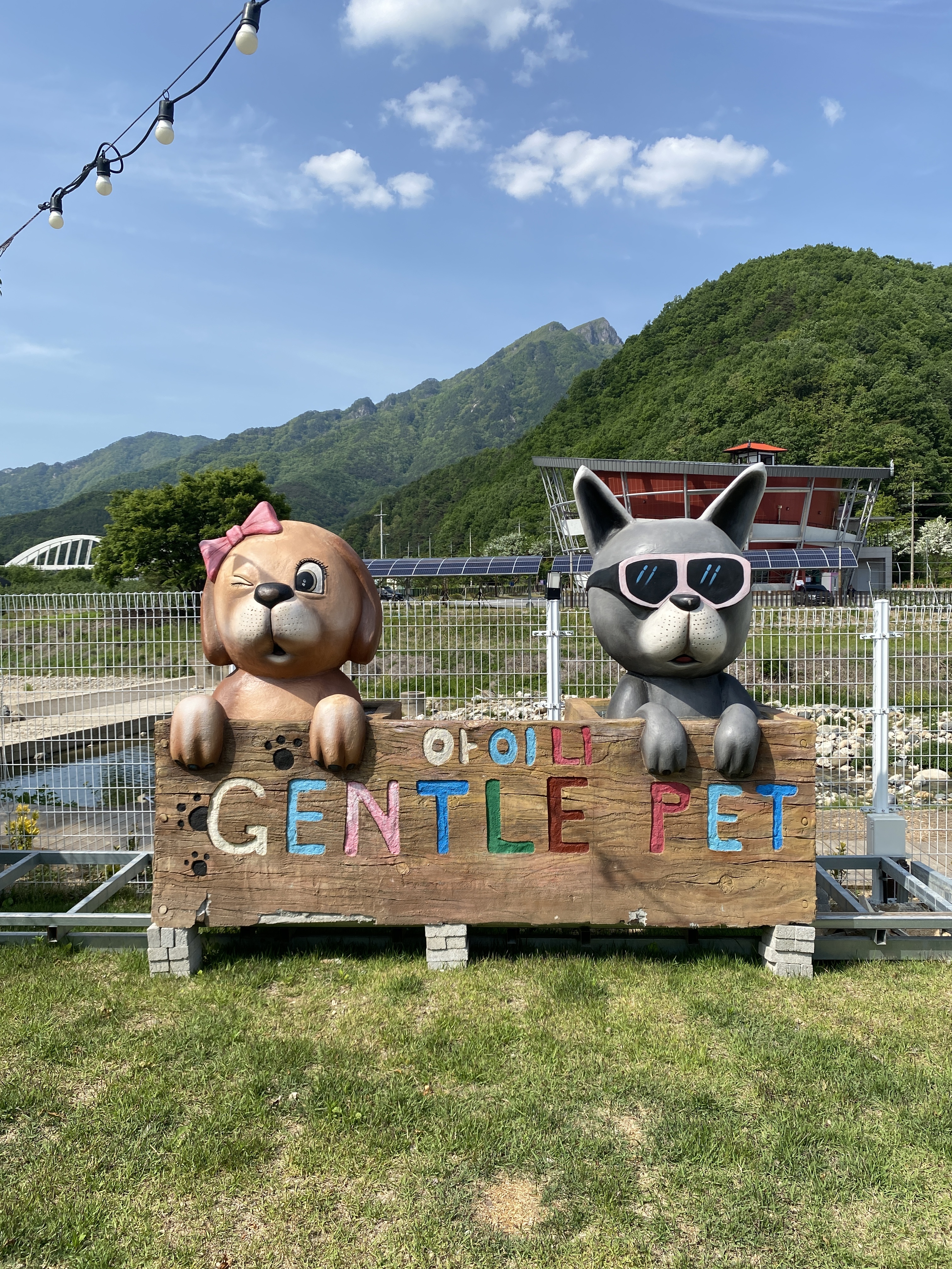 젠틀펫파라다이스