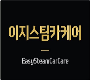 이지스팀카케어