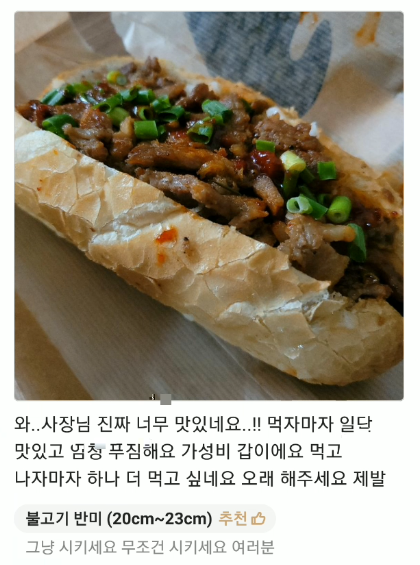비에뜨반미 약대점