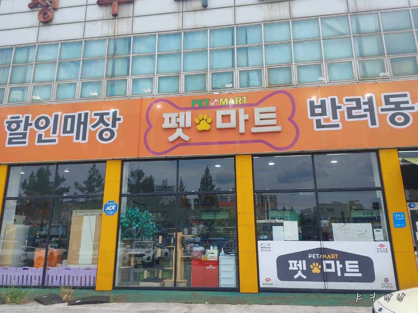 대전 대덕구 애견용품 전문업체 추천 강아지스카프 애견용품샵 강아지목줄 강아지쿨나시 강아지쿨조끼 펫마트 중리점