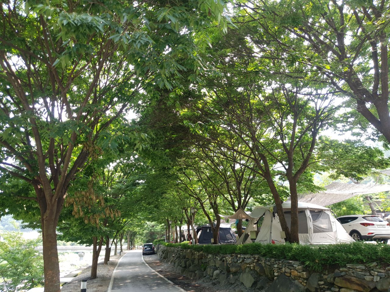 엘림펜션캠핑장