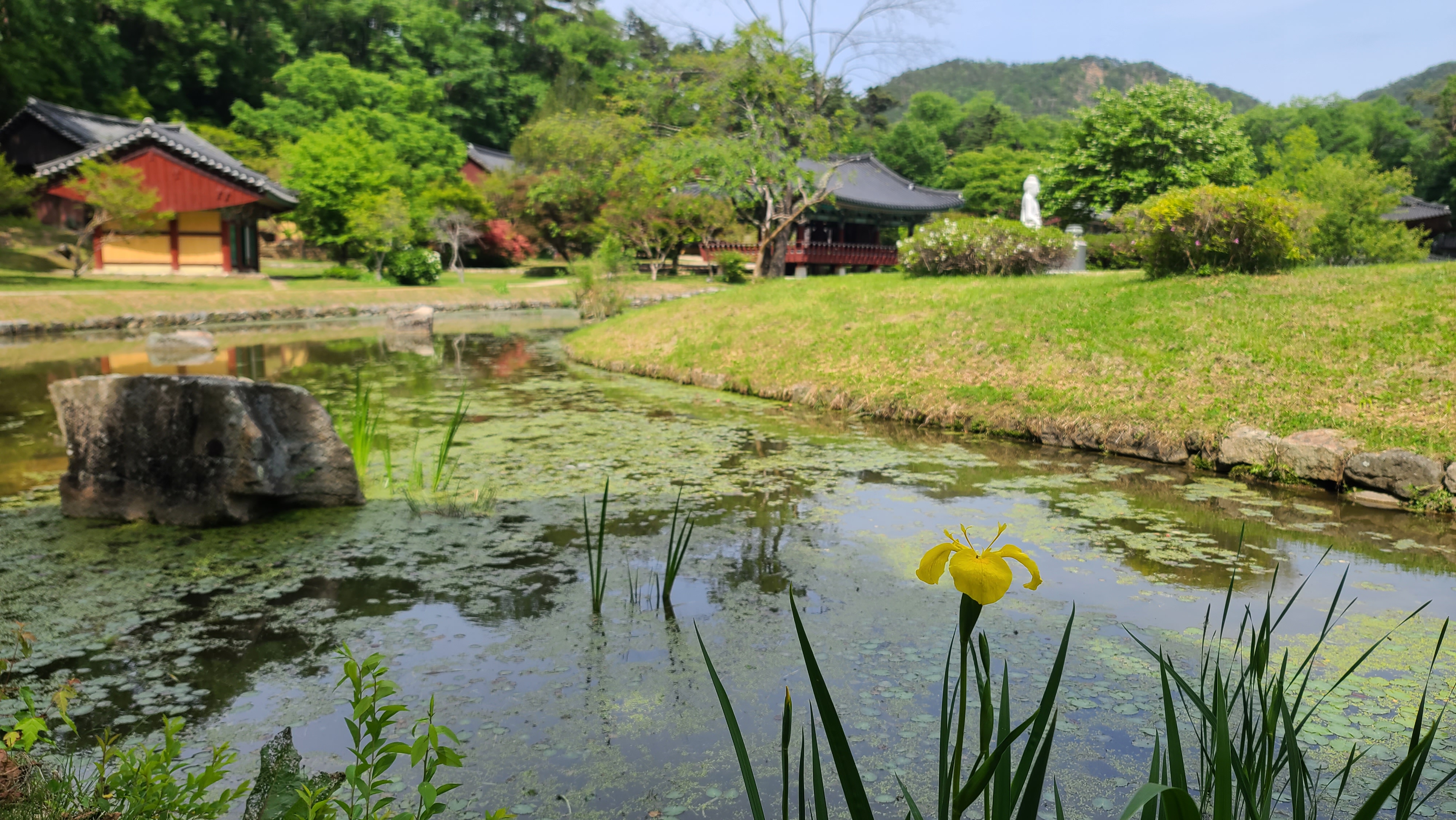 농업회사법인왕피천힐링팜