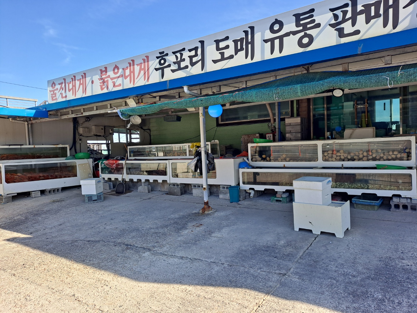 뚱보수산 설명사진