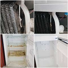 김치냉장고 / 냉장고 정리 및 청소 대표사진