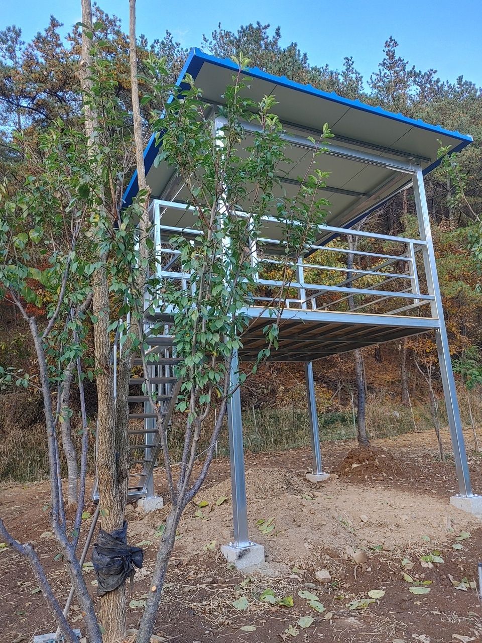 감골감동체험학습농장