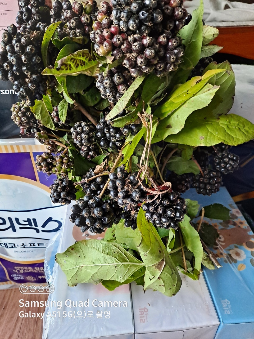 감골감동체험학습농장