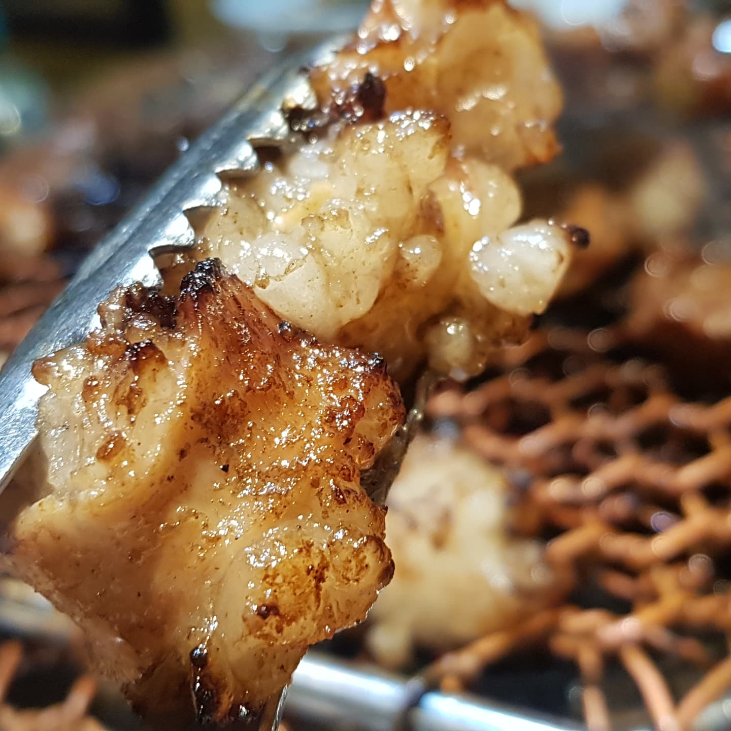 사공가양대창