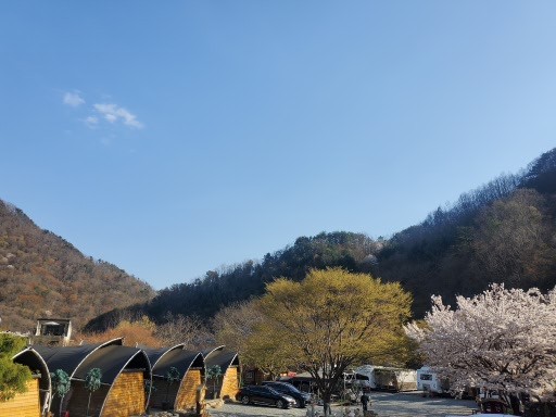 지리산벚꽃카라반캠핑장