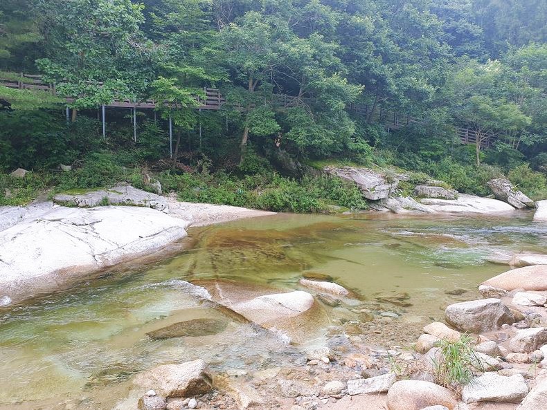 월성오토캠핑장