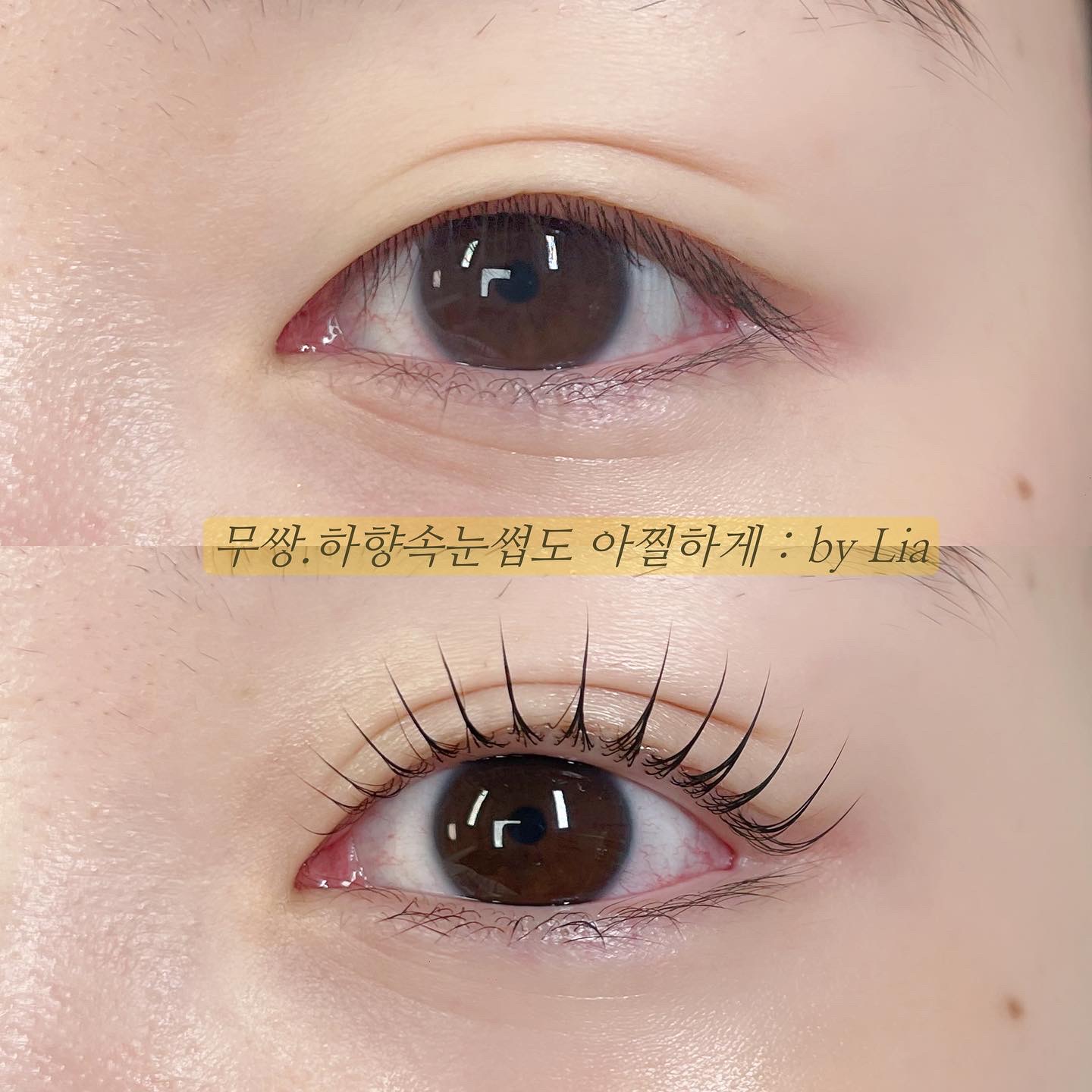 리아브로우 속눈썹펌&눈썹