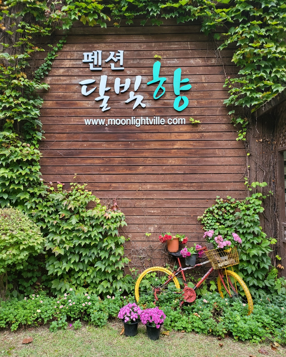 달빛향펜션