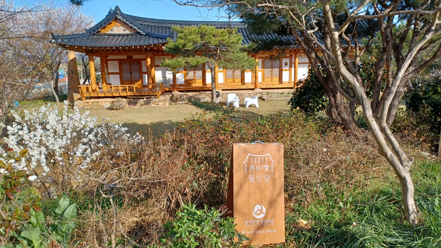 월인당 반려동물 동반 애견카페