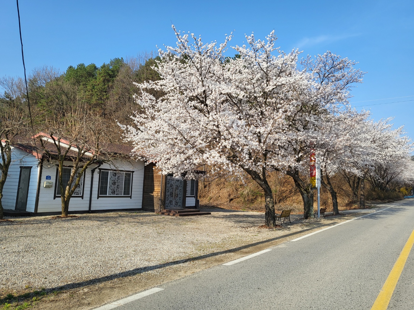회룡포민박