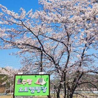 호수마루 캠핑장
