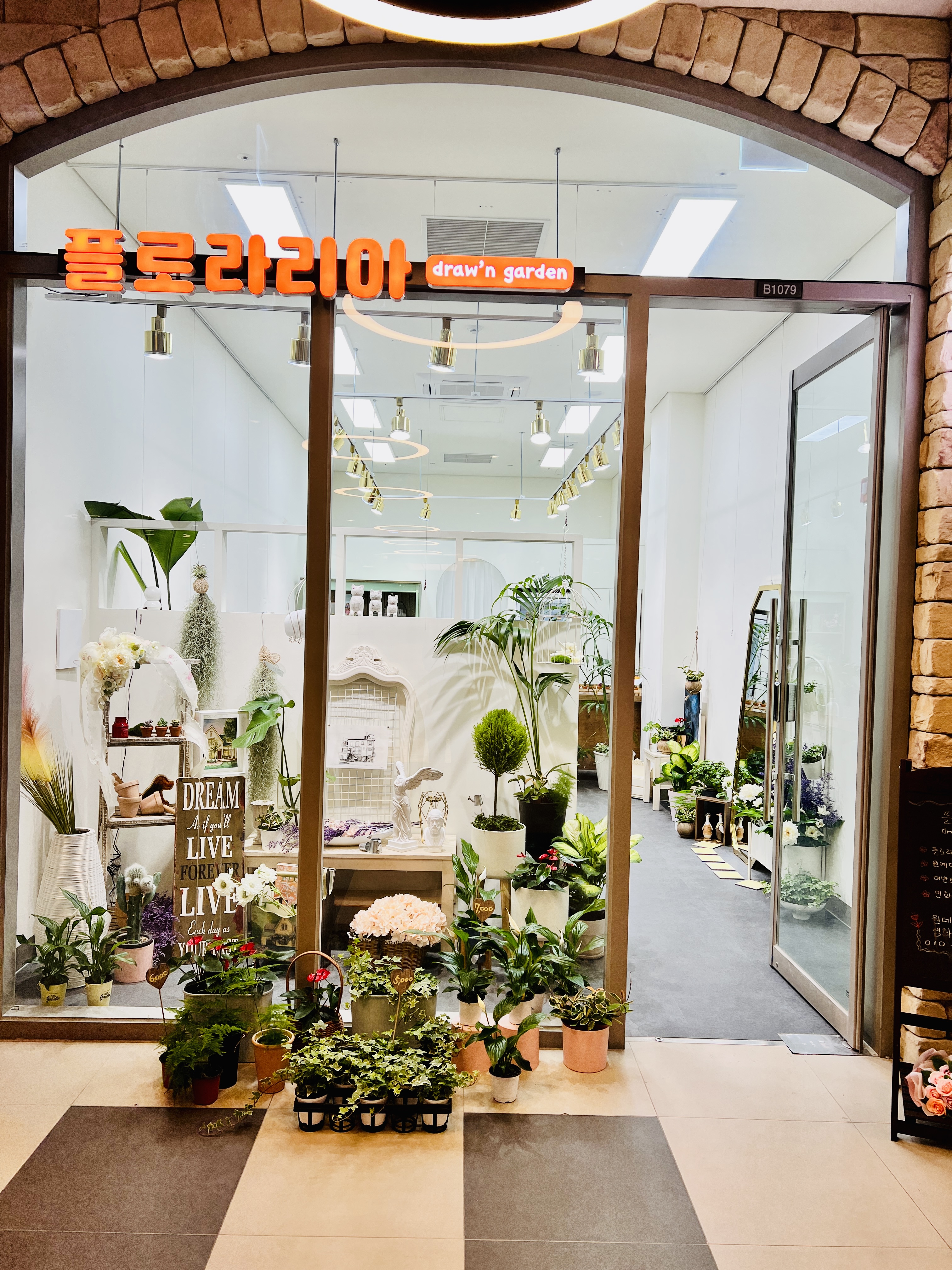 플로라리아 drawn garden