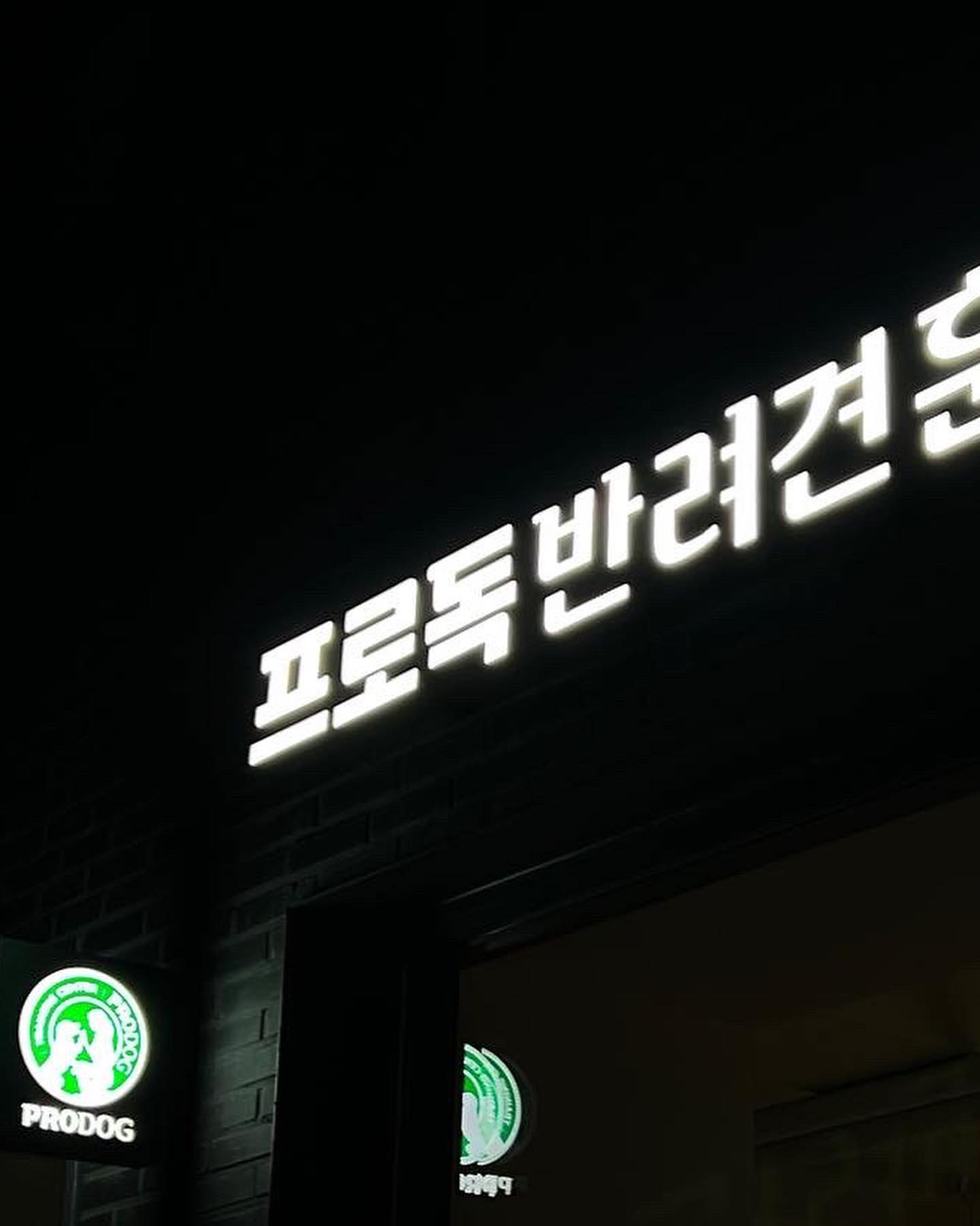 프로독 반려견훈련소