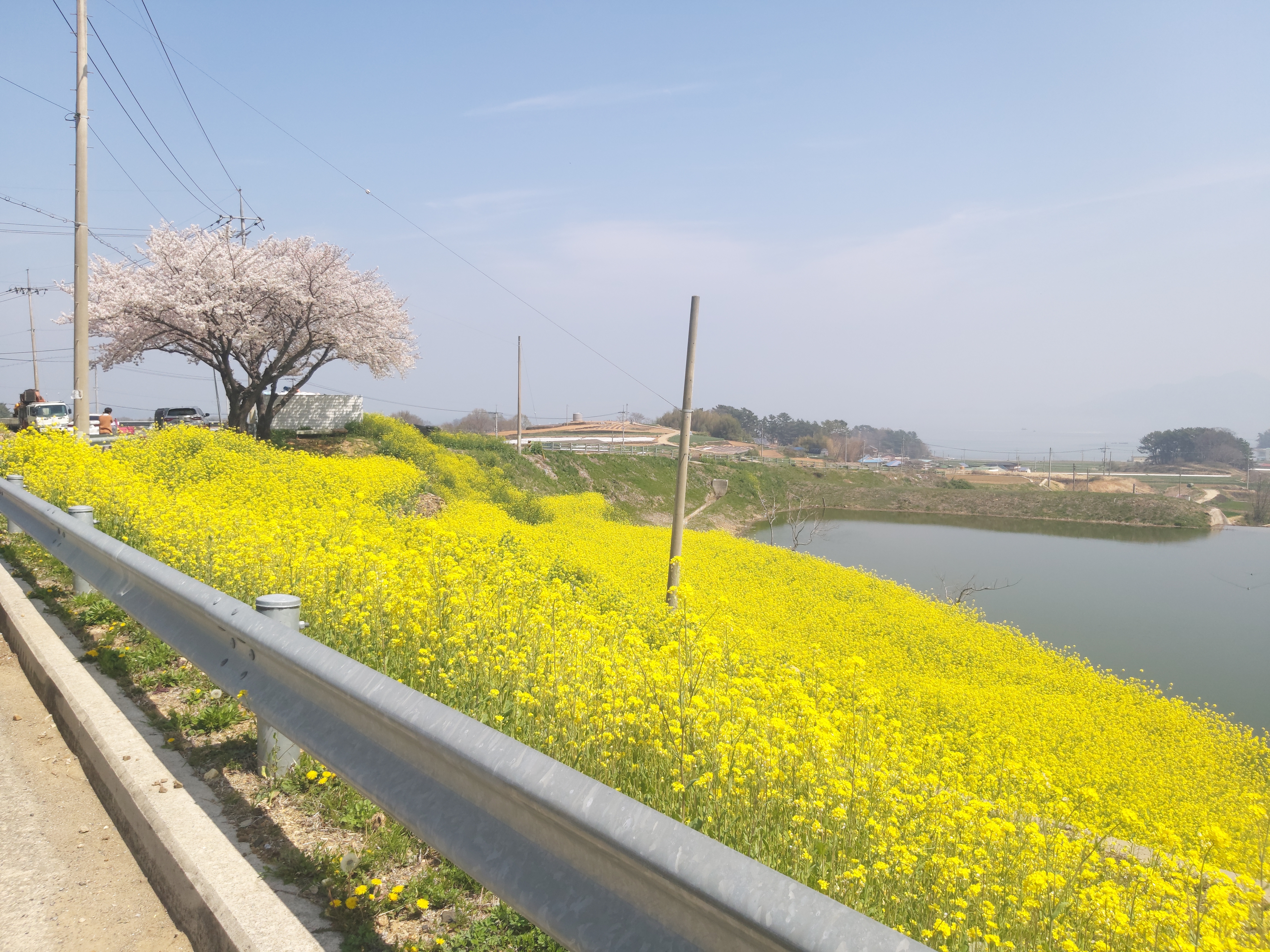 남해포레스오토캠핑장