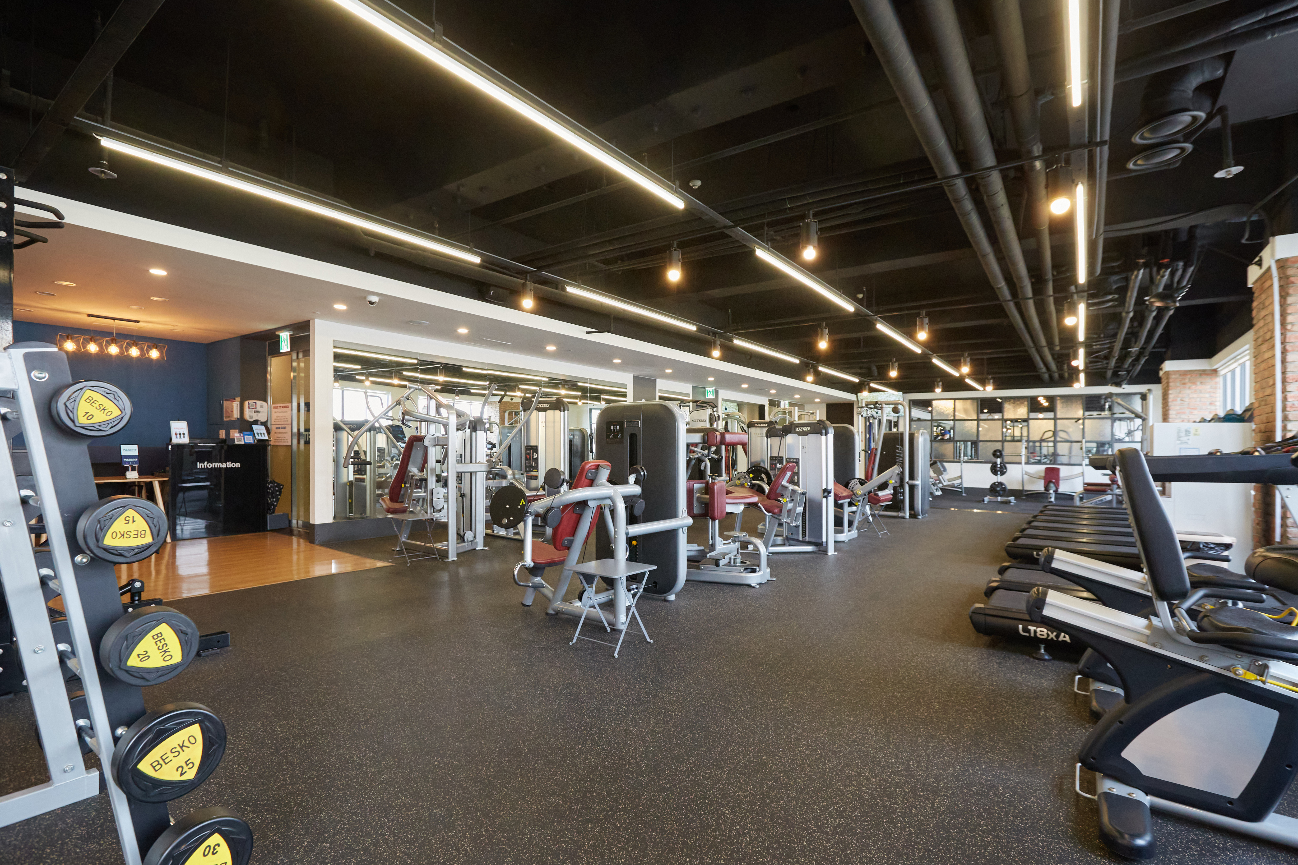 펄스핏 대표 이미지