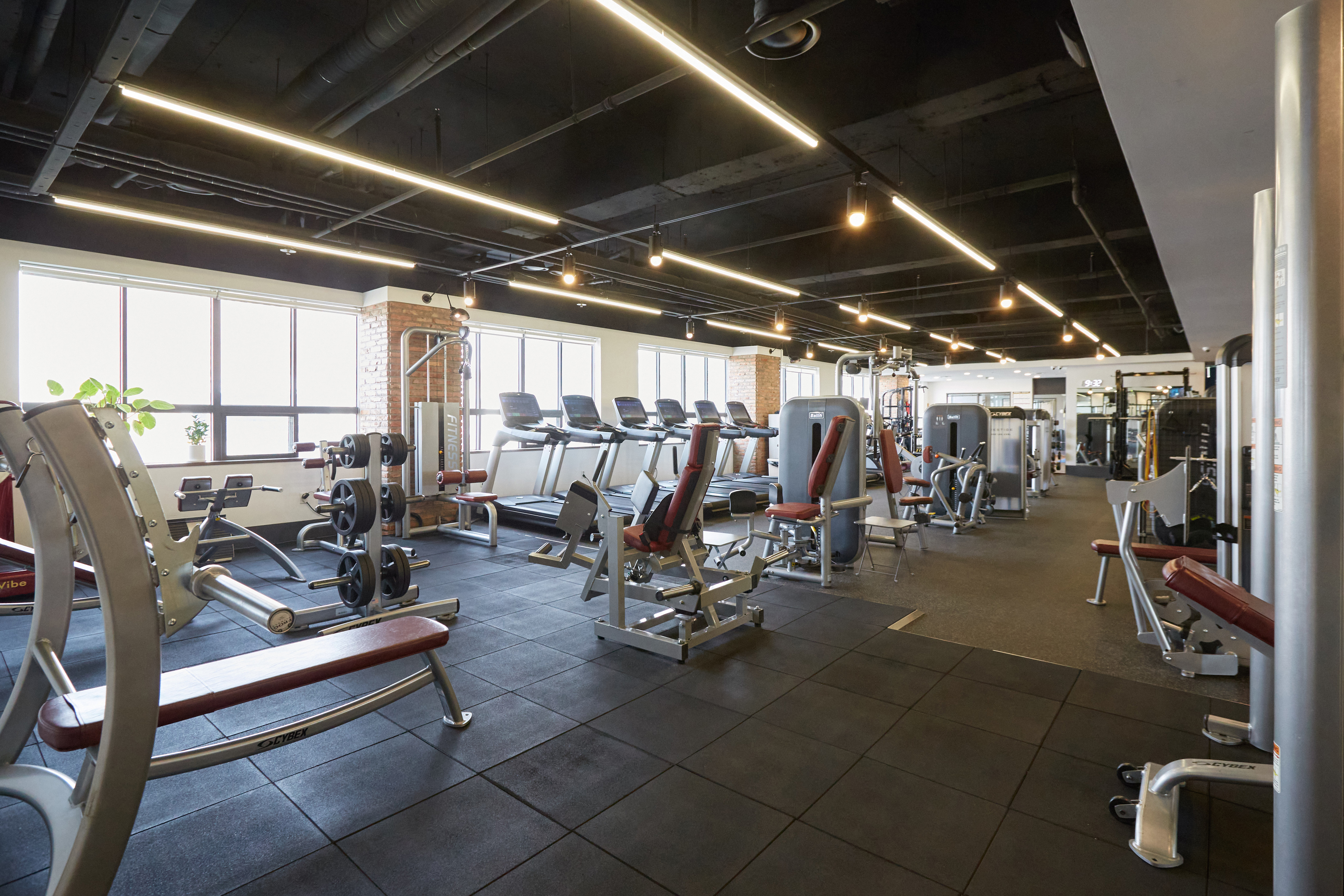 펄스핏 대표 이미지