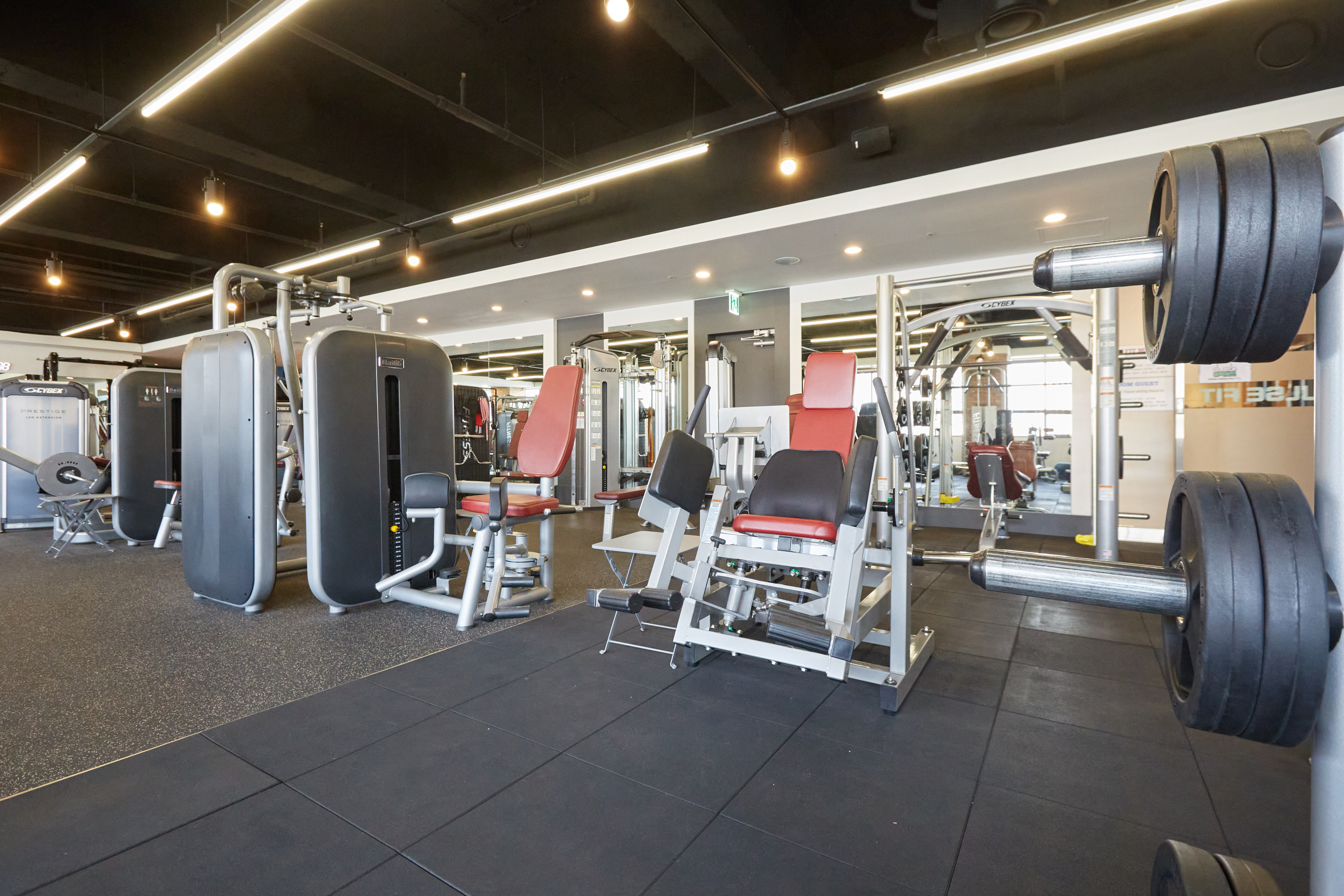 펄스핏 대표 이미지