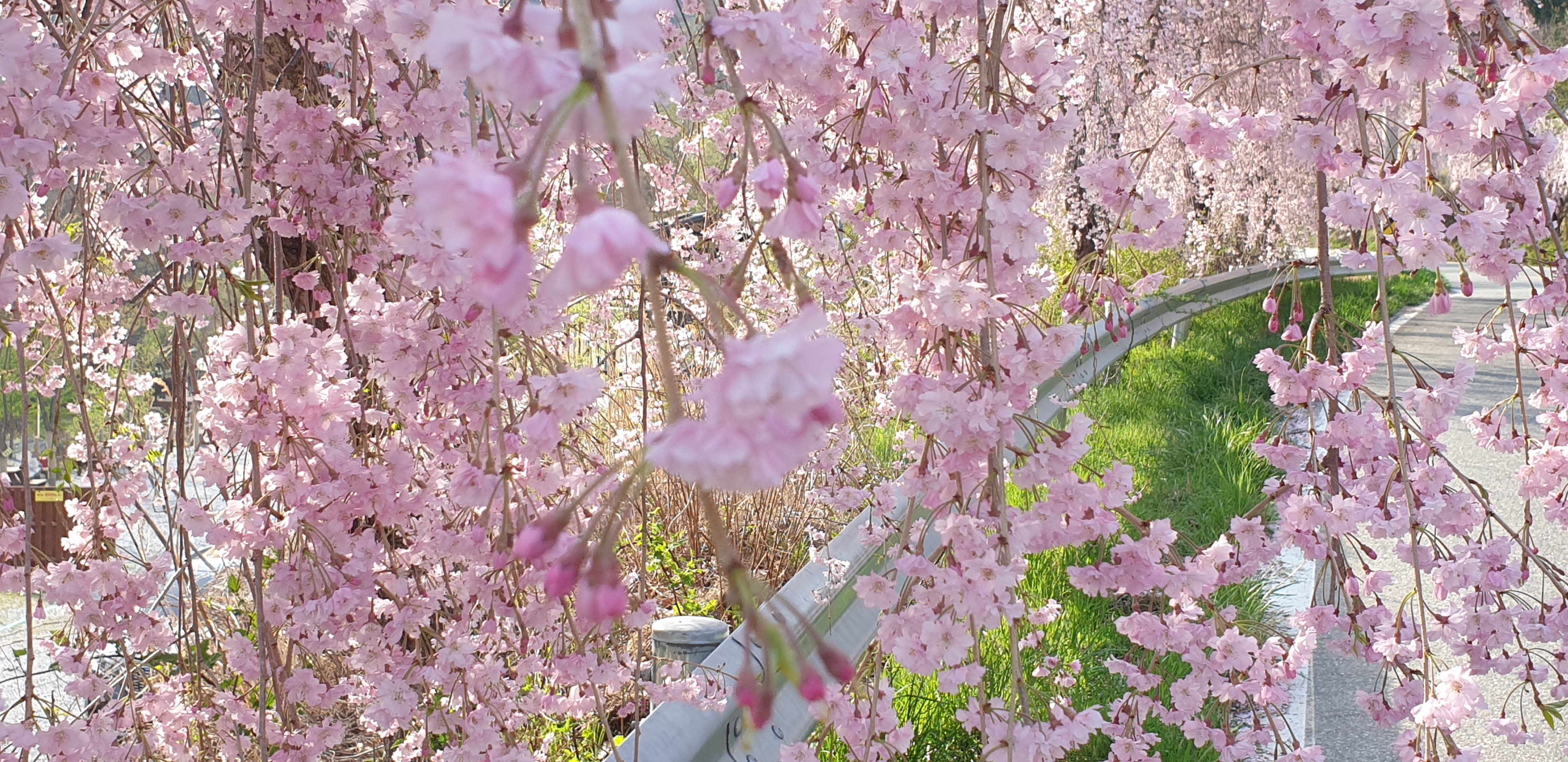 휴일엔캠핑
