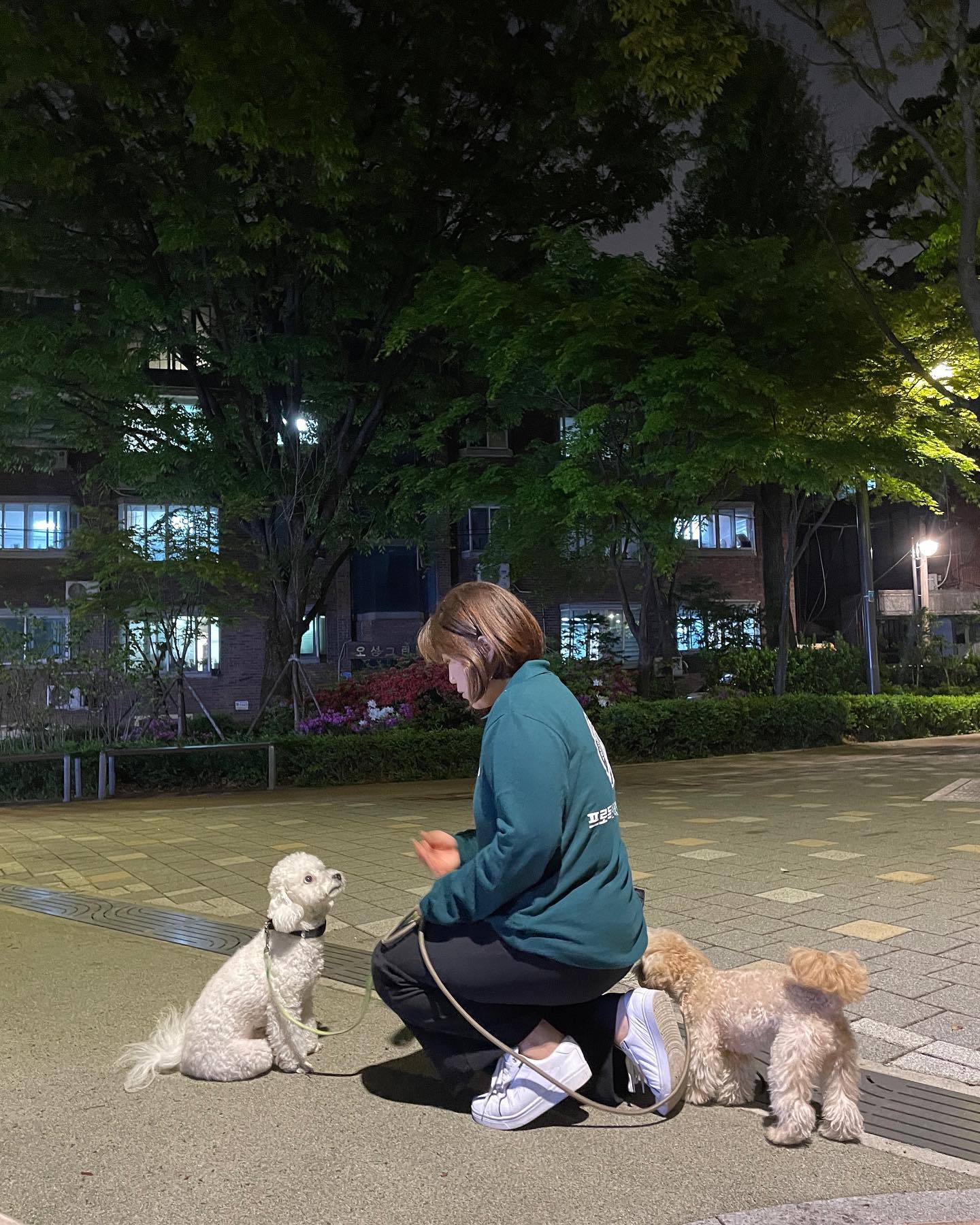 프로독 반려견훈련소 대표 이미지