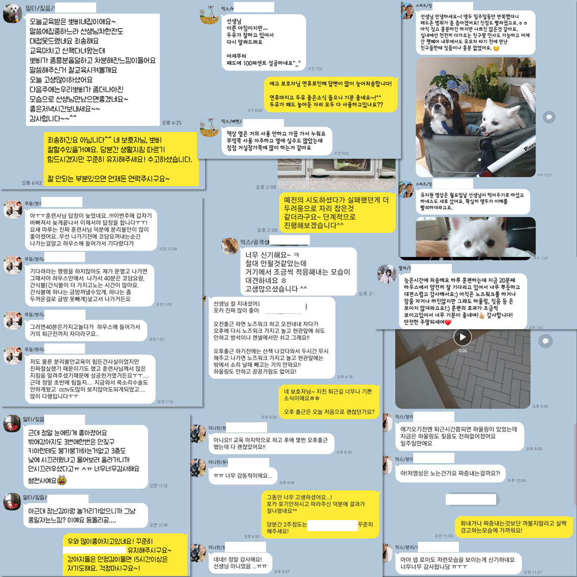 프로독 반려견훈련소 애견호텔 대표 이미지