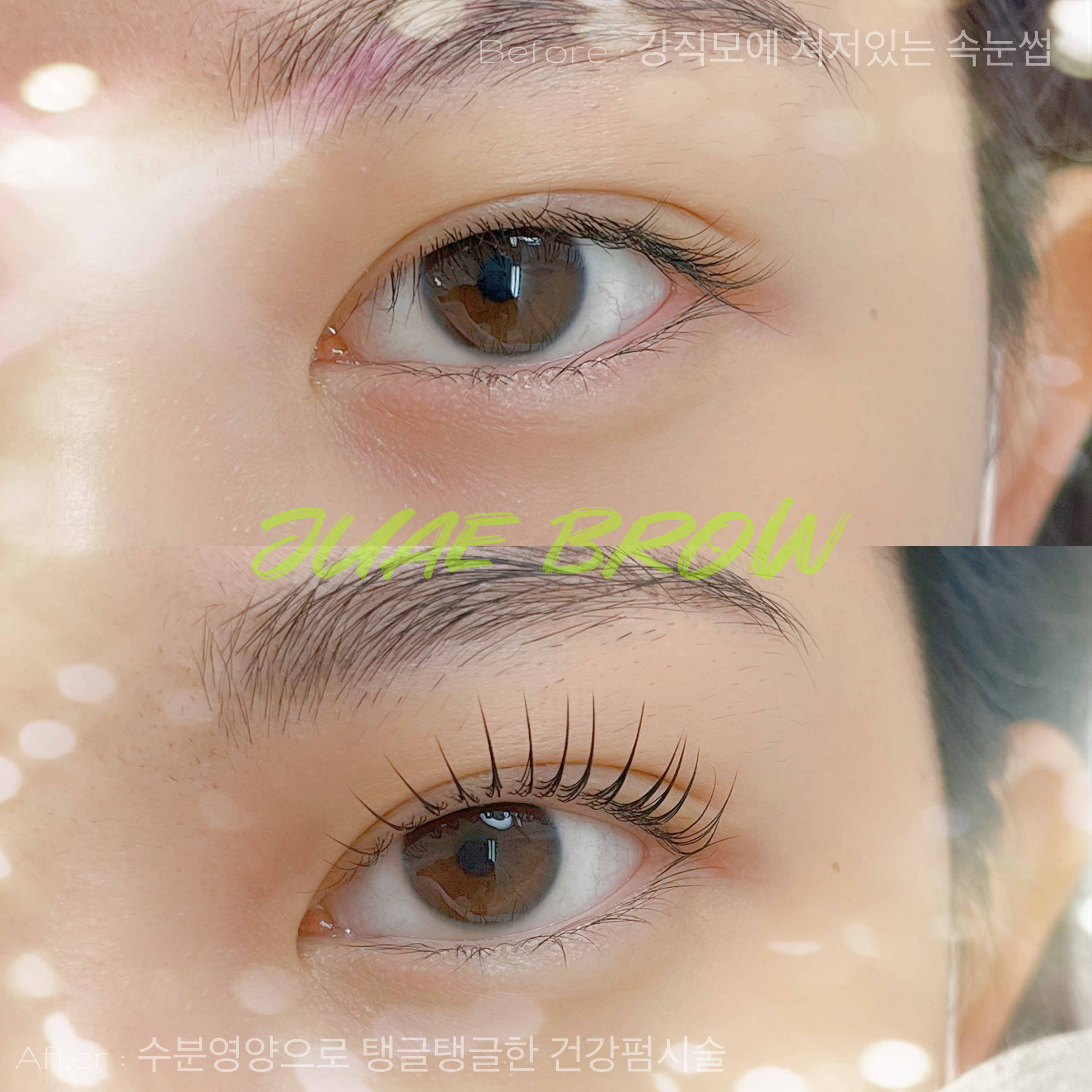 주애브로우 진접오남 대표 이미지