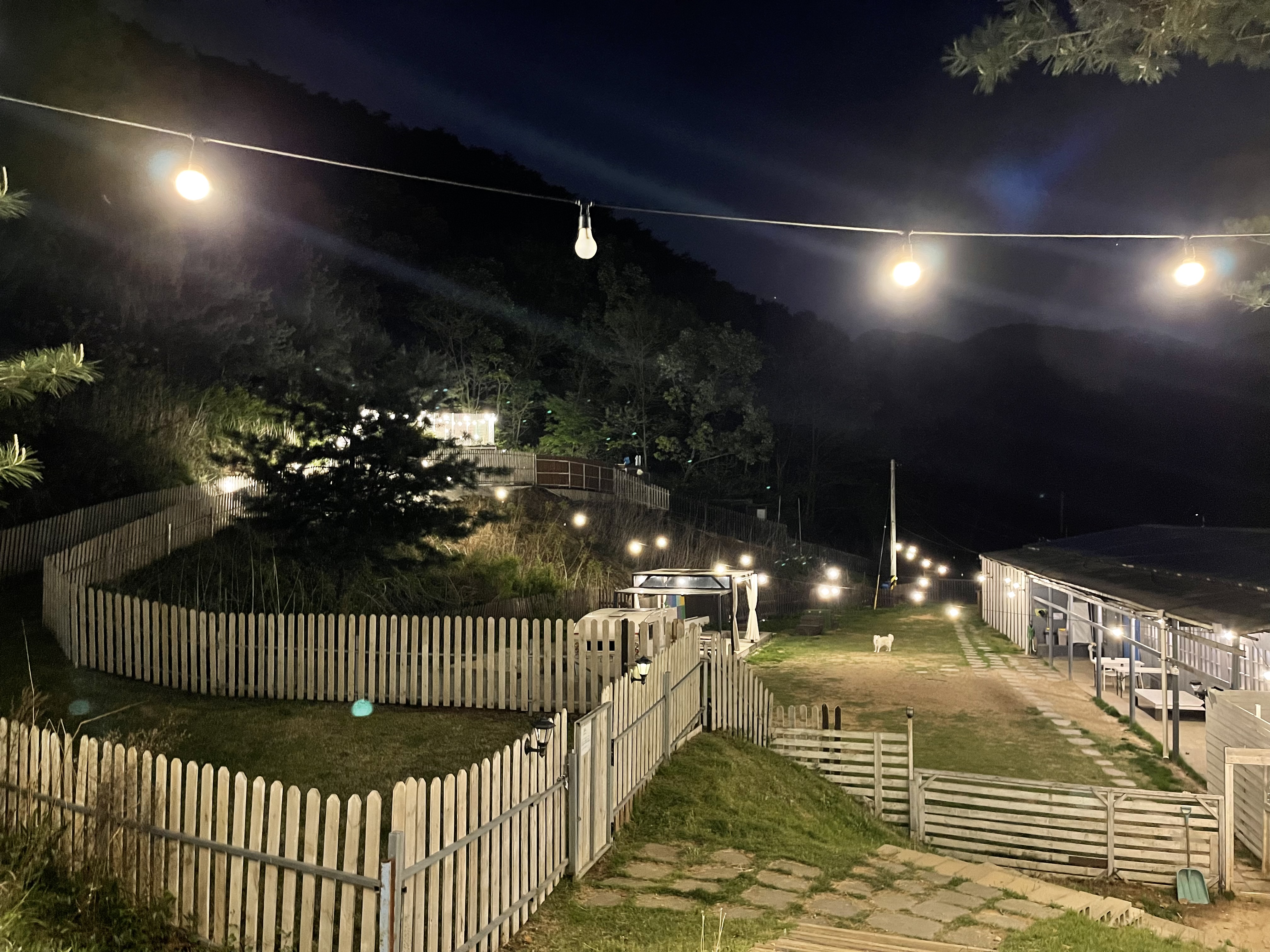 플레이라움 경기 애견여행지