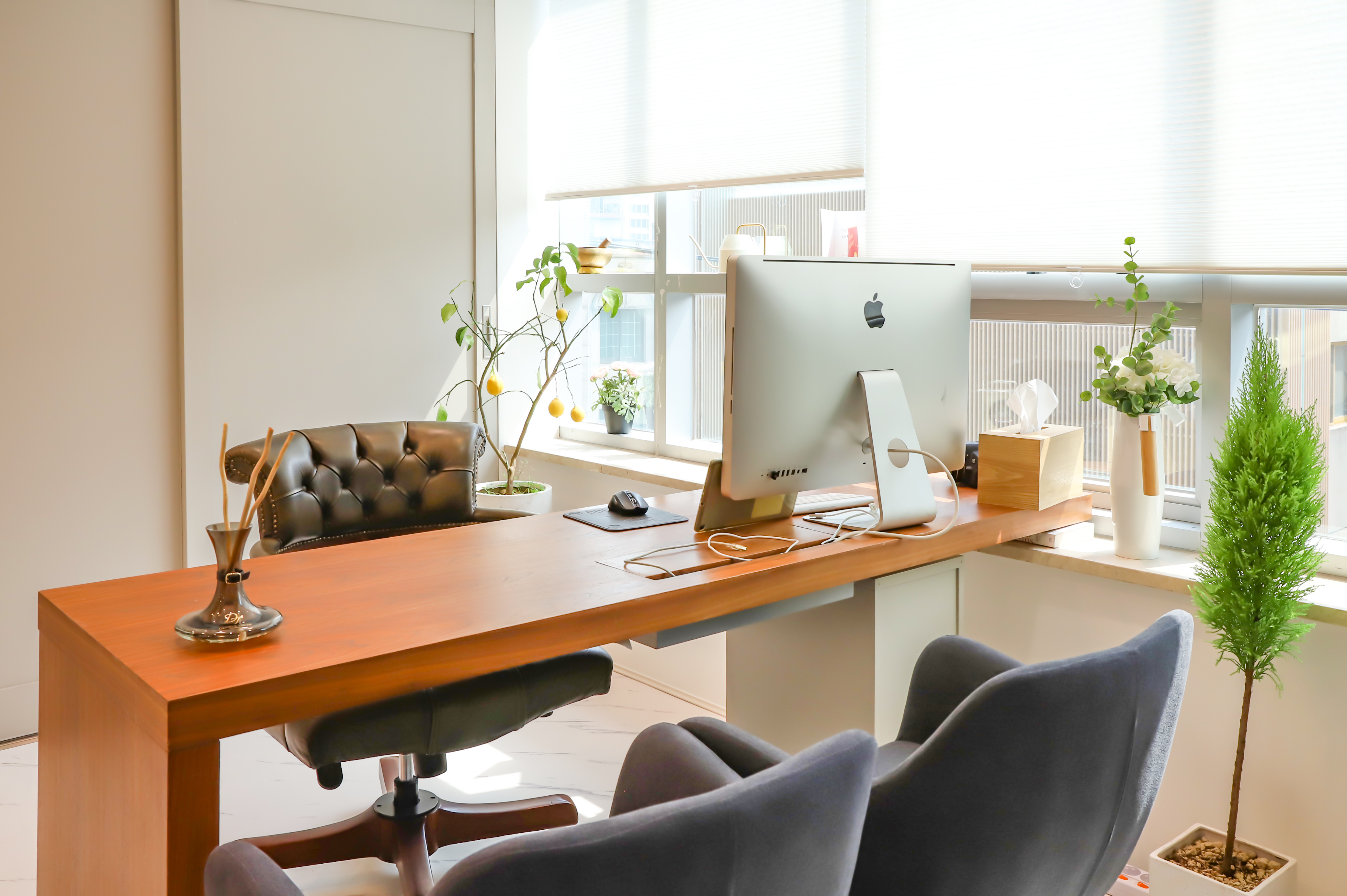 굿모닝 리프팅센터 대표 이미지