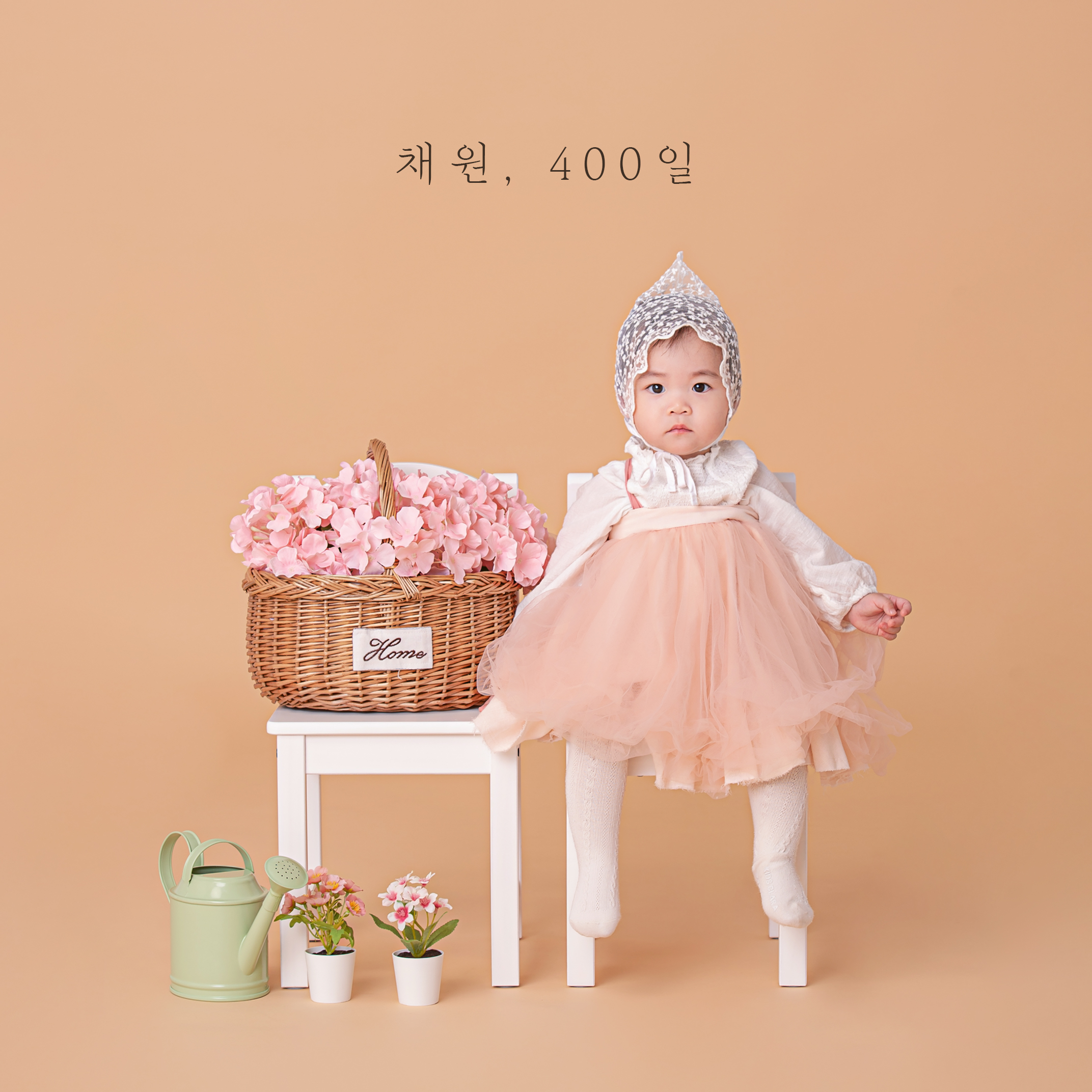 이름꽃사진관