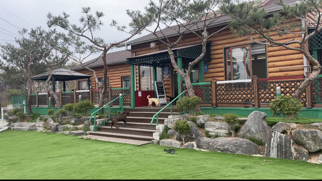 멍피니스 대표 이미지