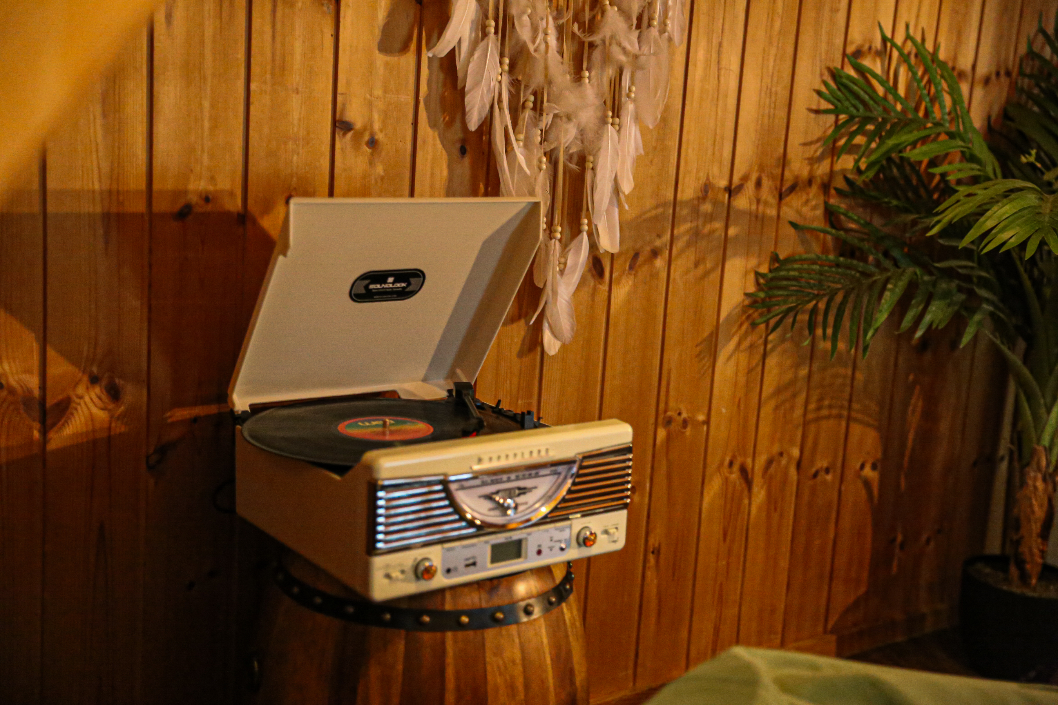 트리하우스 대표 이미지