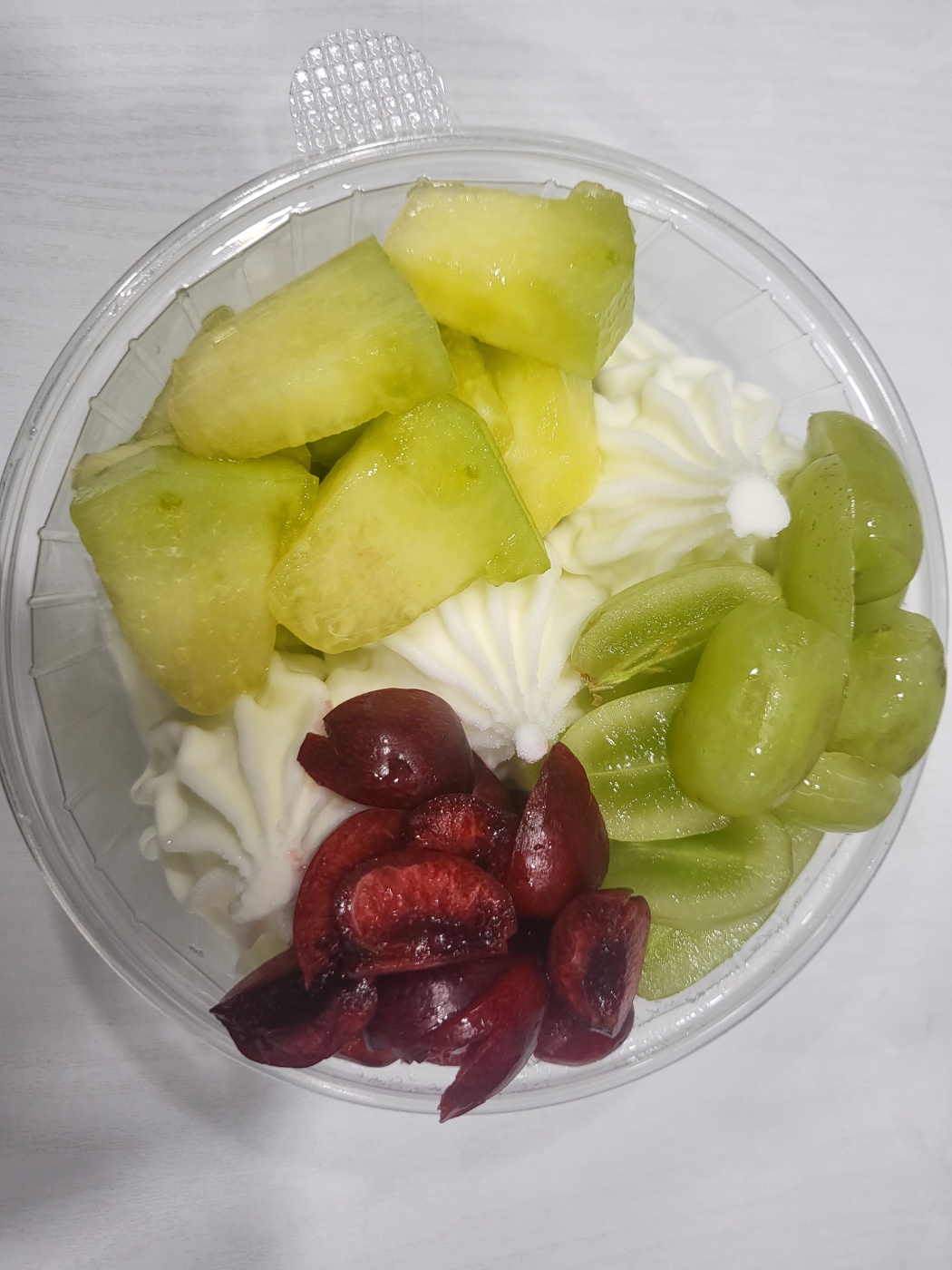 요거트월드 조례점