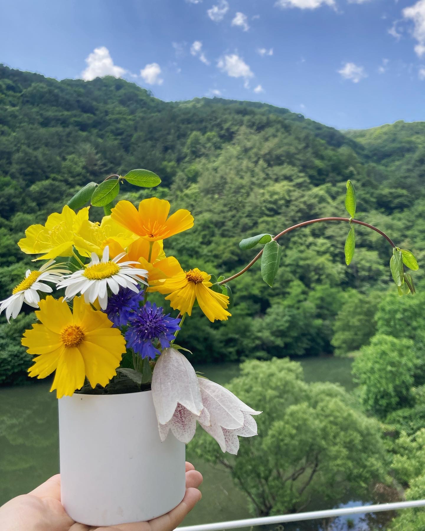 구름바위농원