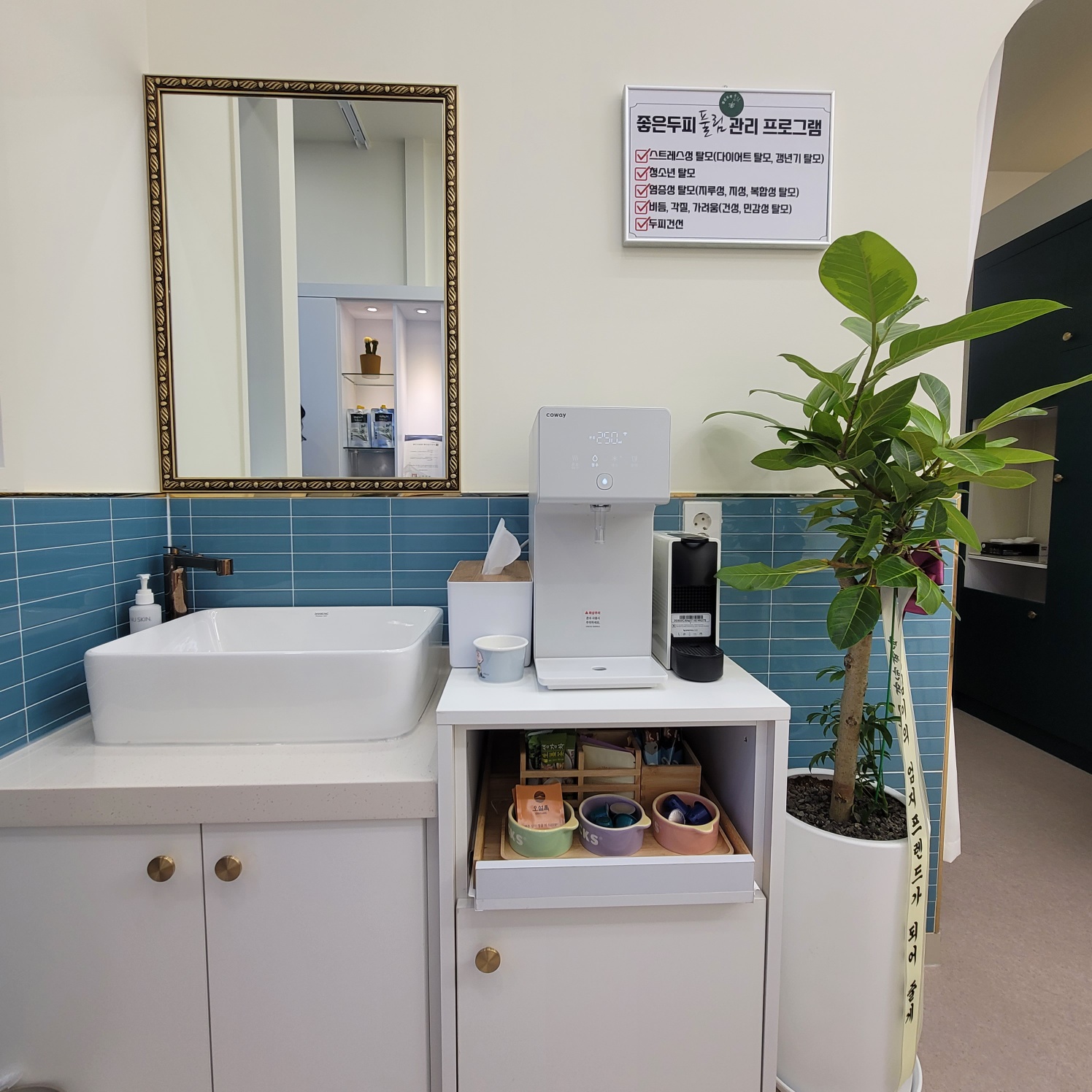 좋은두피풀림 대표 이미지