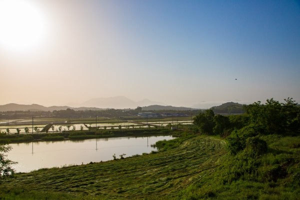 송아숲 풀빌라
