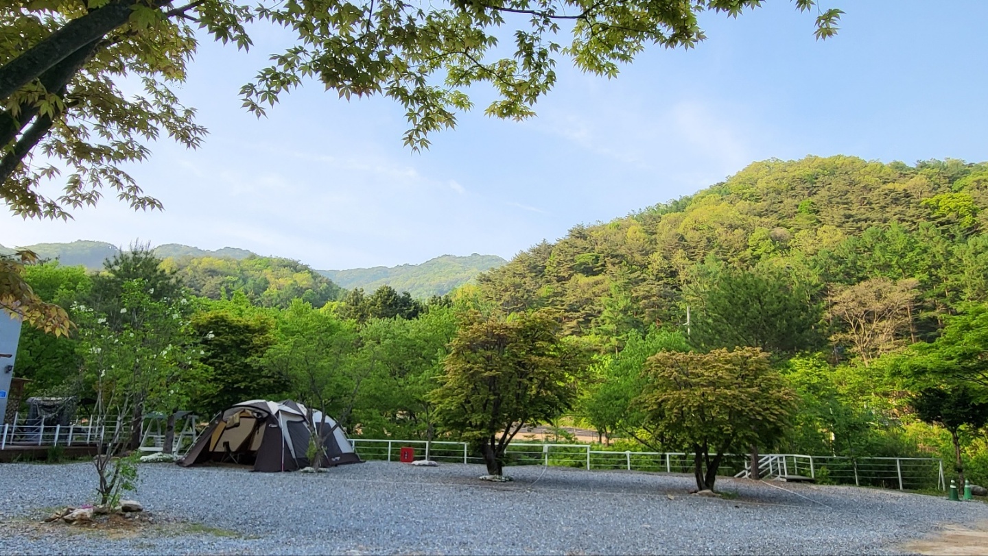 덕동히든밸리캠프펜션